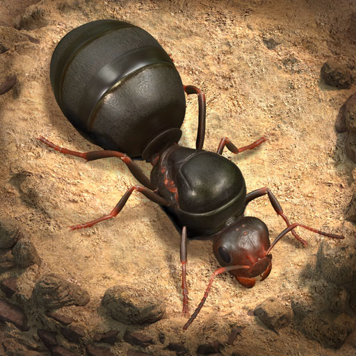 The Ants Underground Kingdom.png